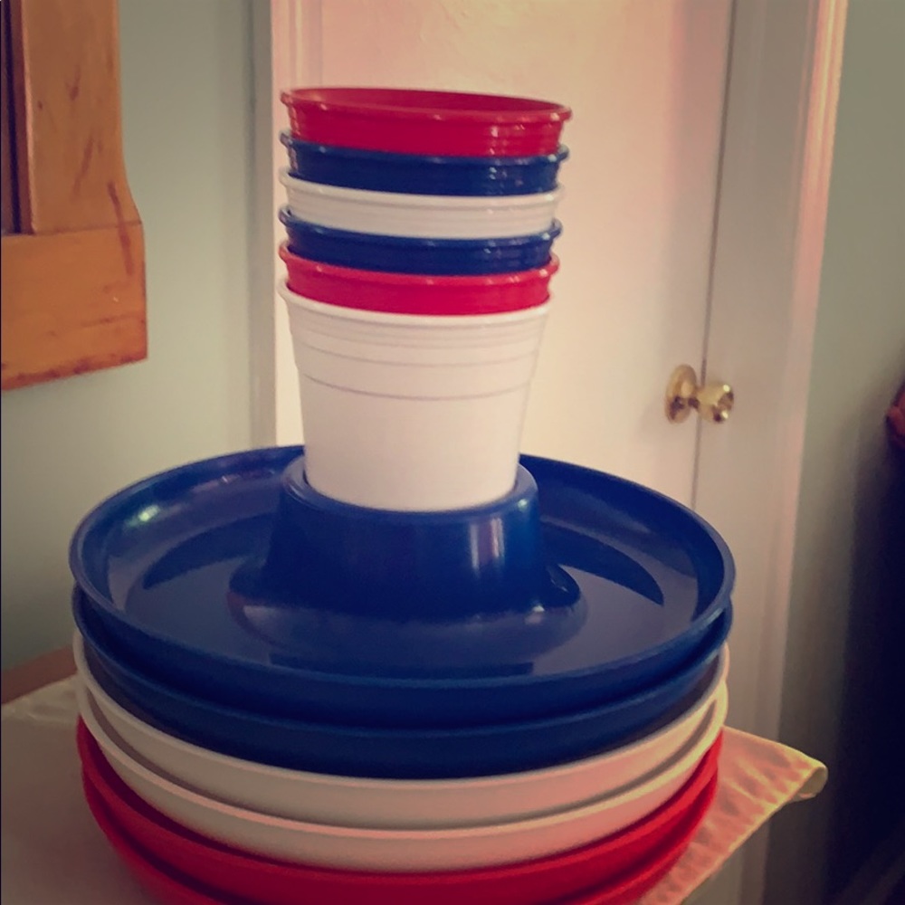 Picnic barbecue plates cups